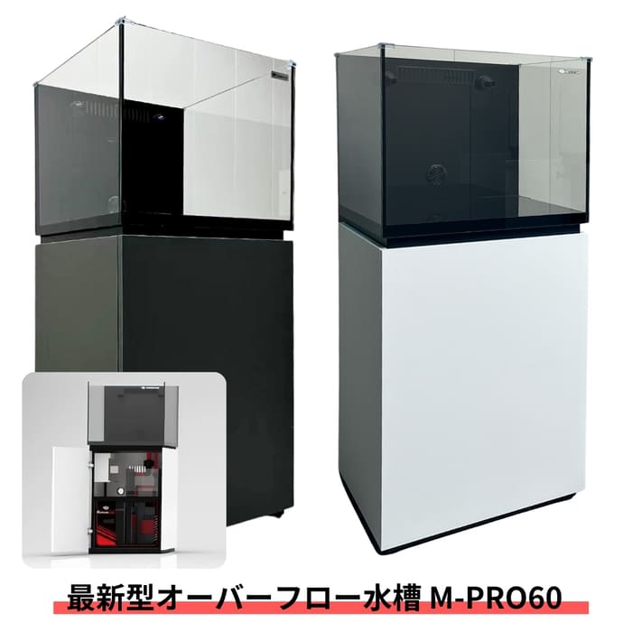 オーバーフロー水槽 | 海水魚通販はアクアギフト オーバーフロー水槽 | 海水魚通販はアクアギフト