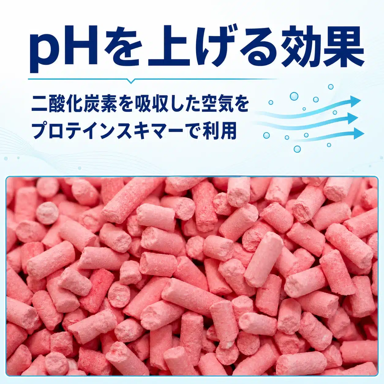 二酸化炭素を吸収した空気をプロテインスキマーで利用する条件を示す図解