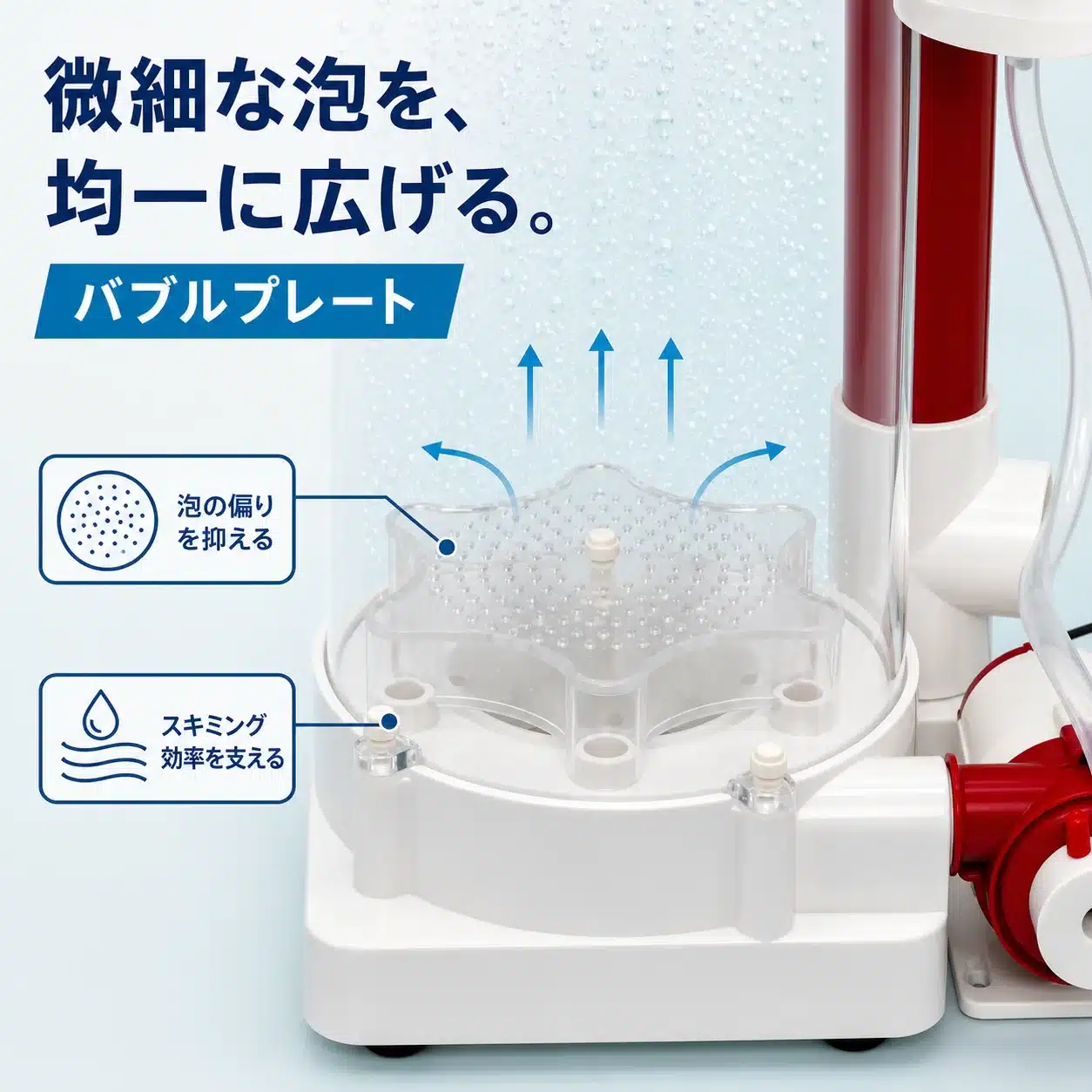 10-bubble-plate | 海水魚通販はアクアギフト バブルプレートが微細な泡を均一に広げてスキミング効率を支える図解