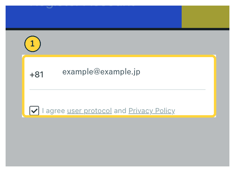 iMicMolのiOS登録画面で国番号とメールアドレスを入力する実画面