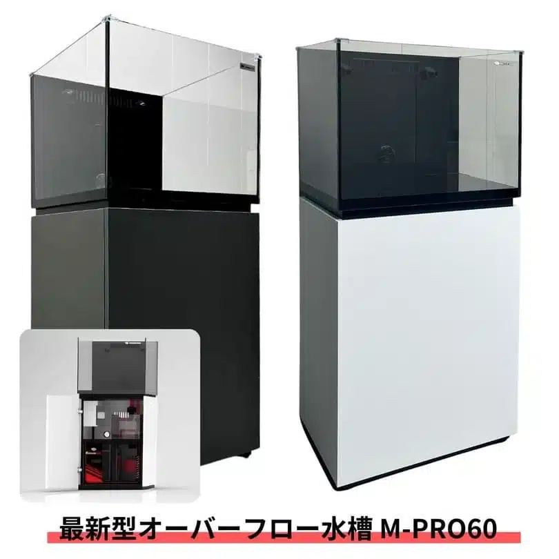 ネプチューンキューブ M-PRO60 オーバーフロー水槽の実写