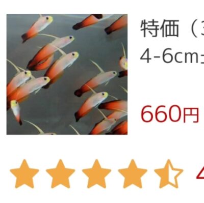 AQUA EXCEL プロテインスキマー 水槽 オーバーフロー水槽 海水 サンゴ skimmer – アクアギフト-水槽館